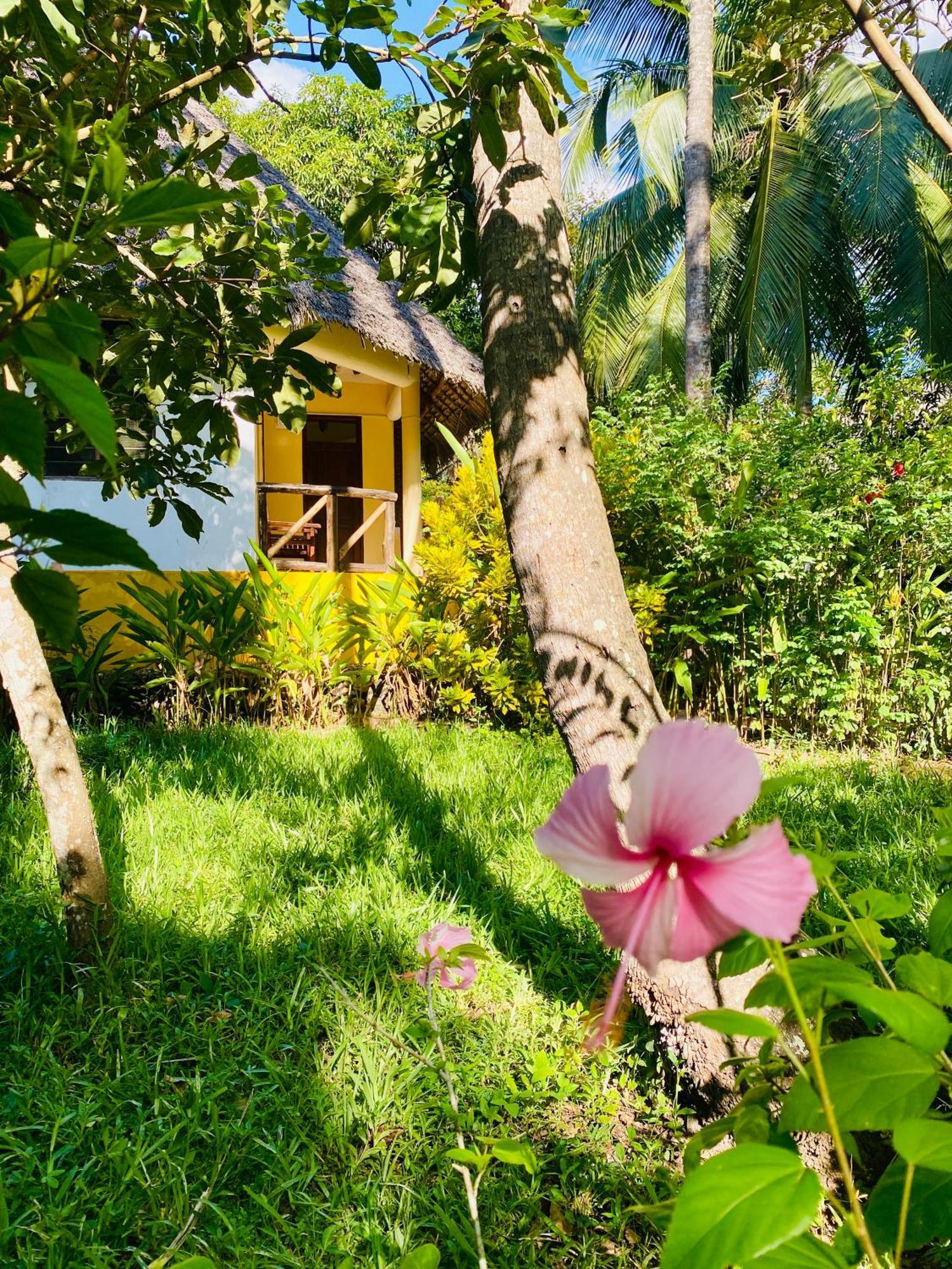 Mangrove Lodge Sansibar Exterior foto